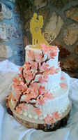 wedding cake184.jpg