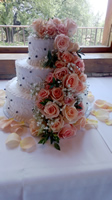 wedding cake192.jpg